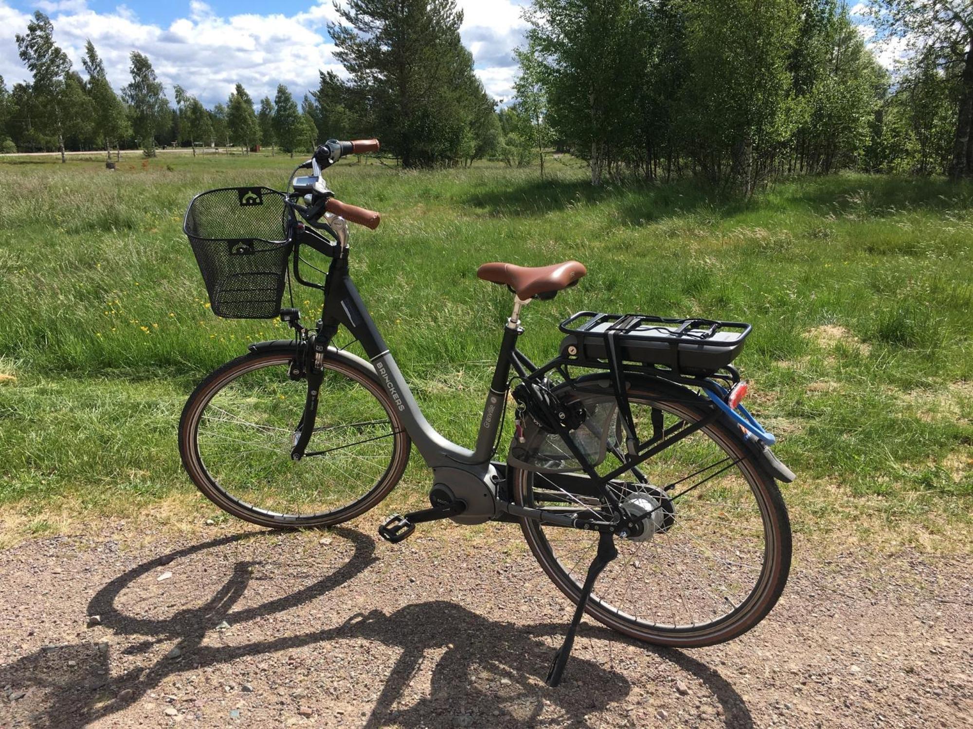 Knappgarden Särna 外观 照片